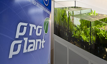 pro plant logo
